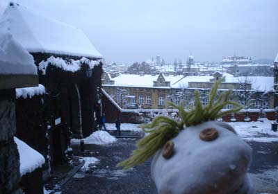 Eso es lo que los mejicanos llaman “un chingo de nieve, wey”.