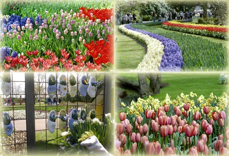 Millocientos colores perfectos.
