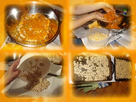 primer_halloween_vol1_5 El proceso pipil al completo. Sencillo -salvo por el tema de la porqueria naranja- y sabroso.