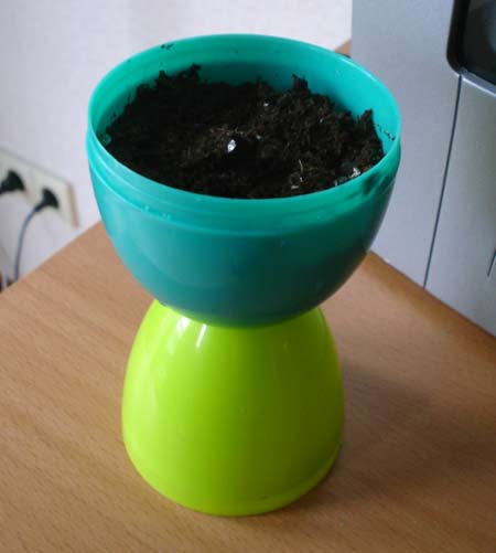 Resultado final de mi sesión de jardinería hereje.