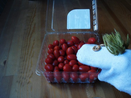 calcetin-tomates