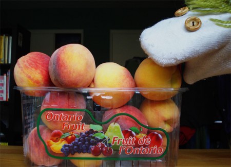 melocoton-ontario melocoton-ontario