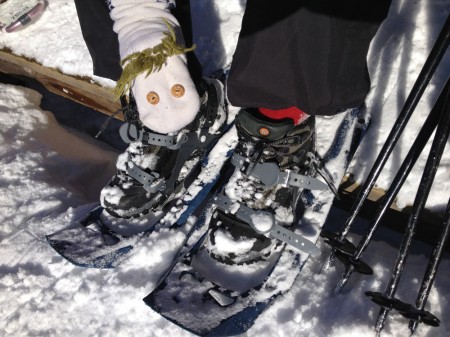 raquetas de nieve