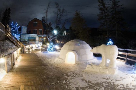 polar bears club patio