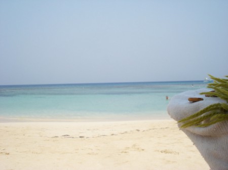 wes bay