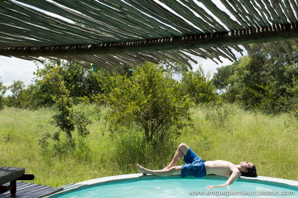 piscina safari kruger