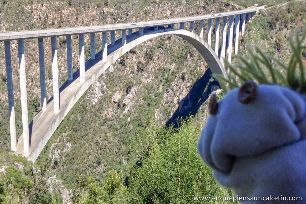 puente bloukrans puenting sudáfrica
