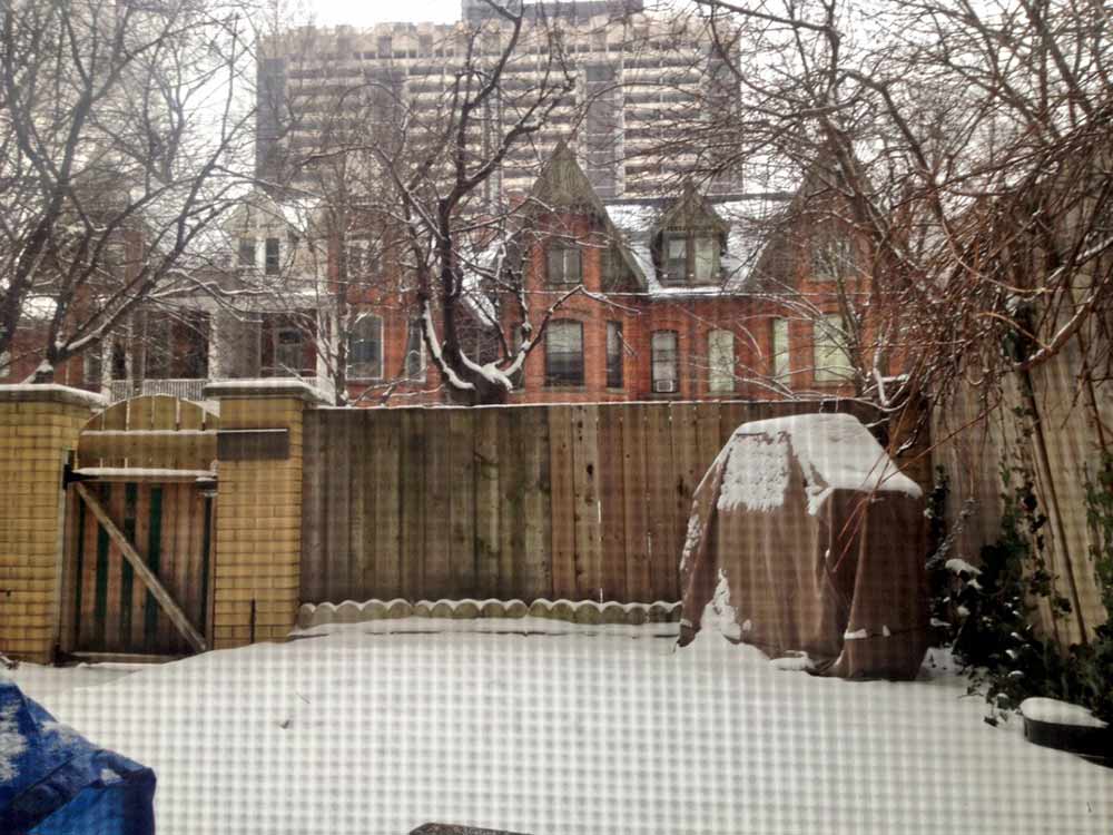 barbacoa invierno