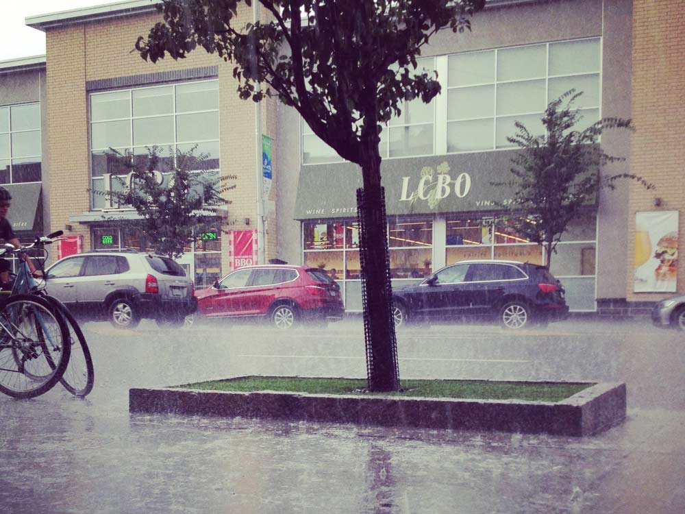 lcbo