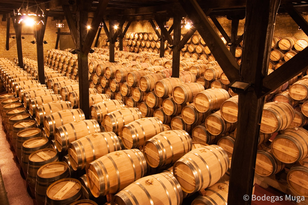 bodegas muga barricas