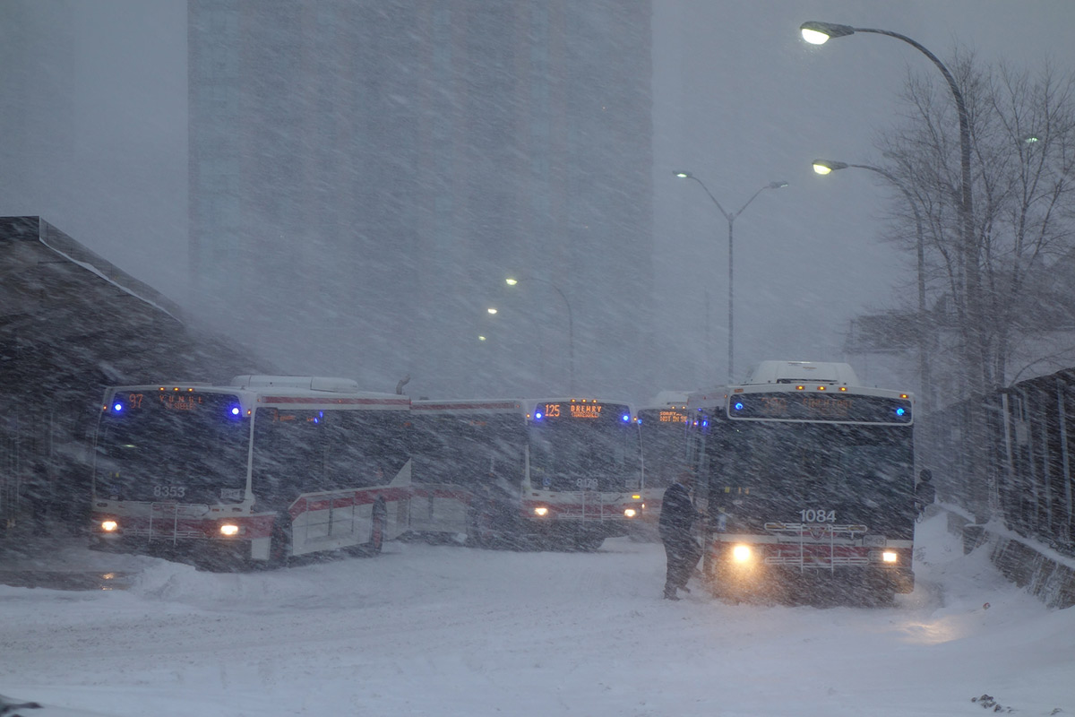 toronto ttc nieve