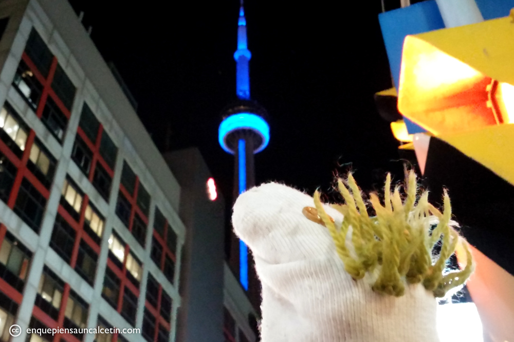 restaurante cn tower